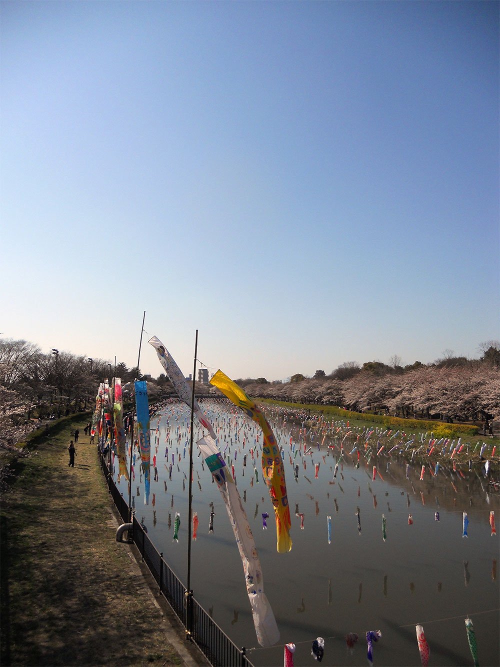 🏞️ 곤도누마 공원 이미지 9
